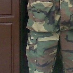 ������, �������, 55 ���