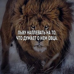 Sher, ������, 37 ���