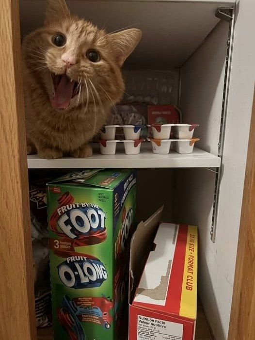 �� ����� ���������