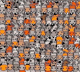 �����������