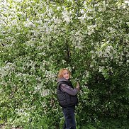 галина, 61 год, Москва галина, 61 год, Москва