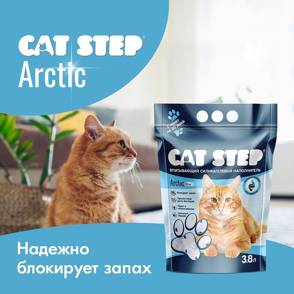     CAT STEP Arctic?   : https://fotostrana.ru/away?to=/sl/Zek - 3