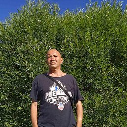 ���� ������, ������, 53 ���� - ��������� 7 ������� 2024