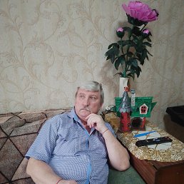, 55 , 
