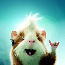 �����, ���, 38 ���