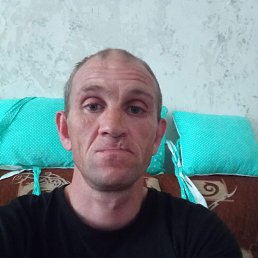 , 43, 