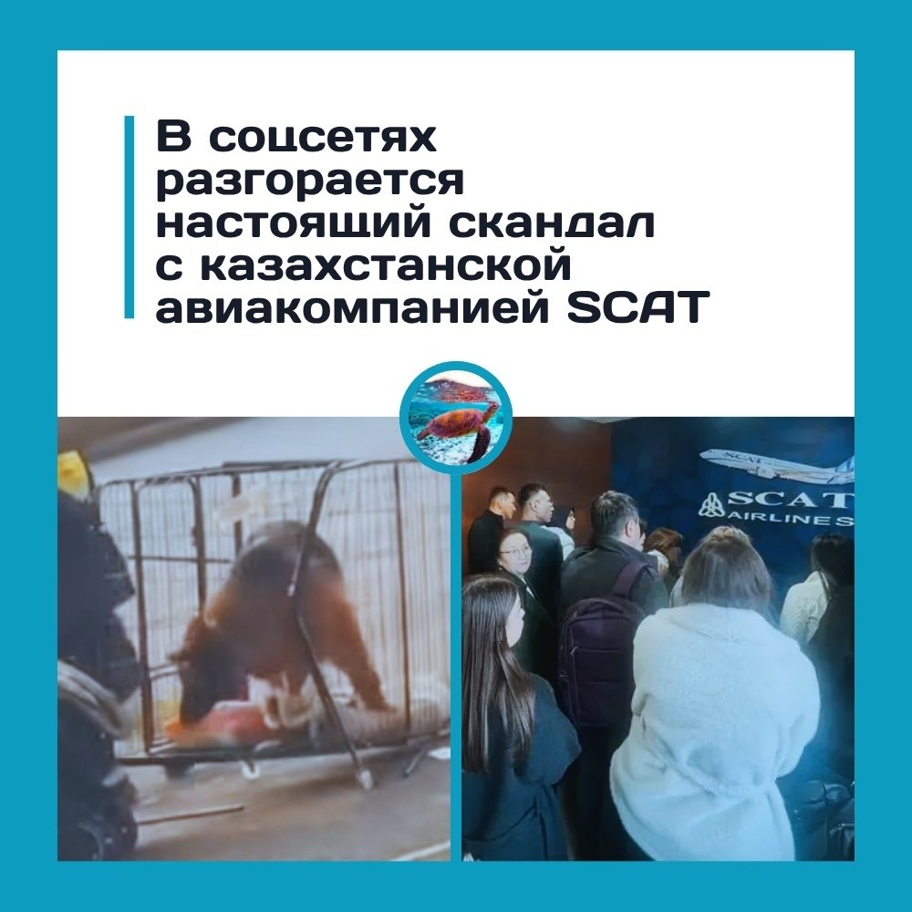 acca��p�a o�����e� a��a�o��a��� � �ec�o�o� o�pa�e��� c co�a�o�! co��a����� ce��� pa�pa���c� c�a��a� ...