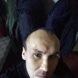 ������, 42 ����, ���������