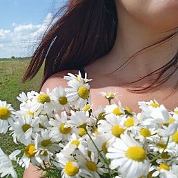 ���� ����������, ������, 40 ��� - ��������� 25 ������� 2025