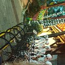 ���� ��������, ����������, 42 ���� - ��������� 6 ������ 2026 � ������ ���� ����������