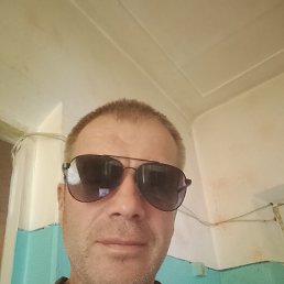 , 41 , 