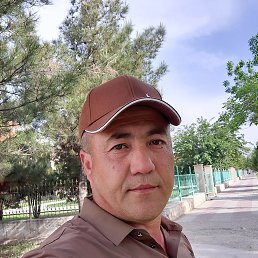 , 43 , 