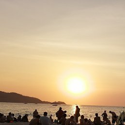 �������, ��������, 46 ���