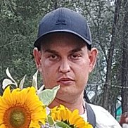 ���������, 31 ���, �����������