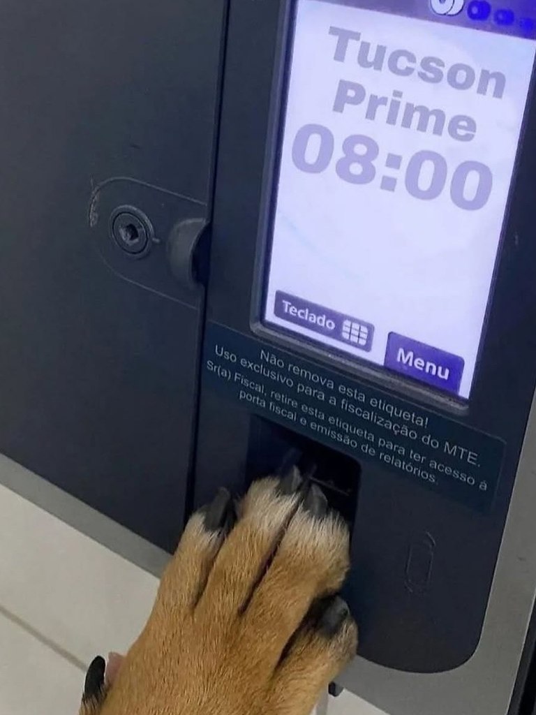  ,   ,  Hyundai   ,     ... - 2