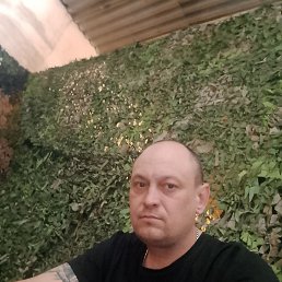 , 36 , 