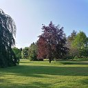 ���� Alexander, ������, 62 ���� - ��������� 1 ������� 2023 � ������ �������