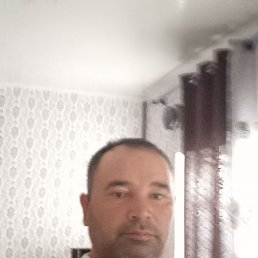 , 40 , -