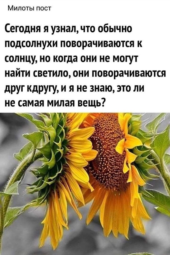 �������� ������ - 16 ������� 2025 � 16:48