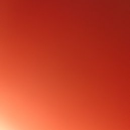 Alex, �������, 20 ���
