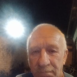 , 61, 