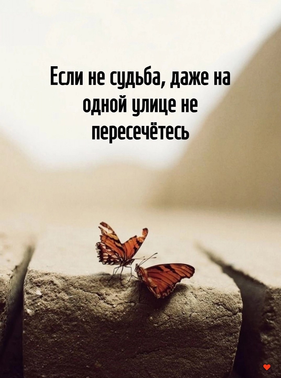  - 27  2025  18:21