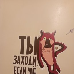 , -, 48 