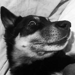 ���� Andrey, ������, 46 ��� - ��������� 28 ������ 2024