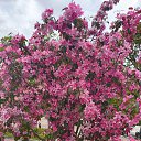 ���� ������, �����-��������� - ��������� 24 ���� 2025 � ������ ���� ����������