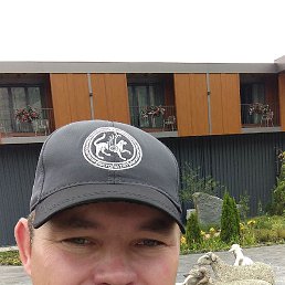 ����� �����������., 37 ���, ���