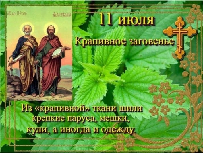 Zv   !!! V - 11  2025  14:44