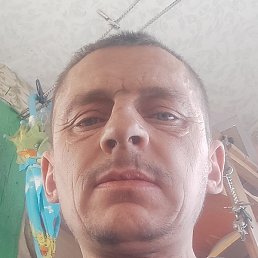 , , 41 