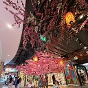 ���� Vera Sun, �����������, 69 ��� - ��������� 21 ������� 2026 � ������ ���� ����������