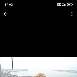 �������, 53 ����, ���������