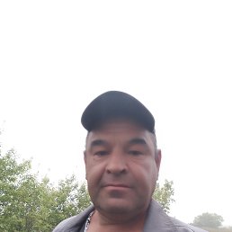 , 55, 