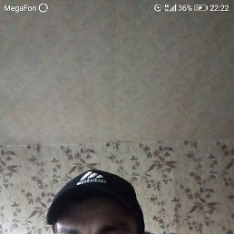 �����, ������, 28 ���