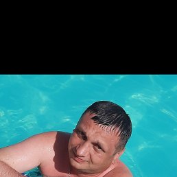  , -, 45  -  24  2024