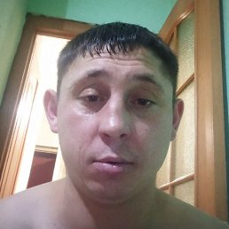 ����, ����, 37 ���