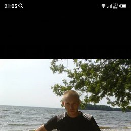 ������, ���, 41 ���