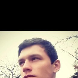 , 38, 