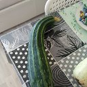���� ��������, ������ - ��������� 26 ����� 2025 � ������ ���� ����������