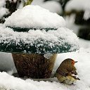 ���� �������, ���������, 67 ��� - ��������� 9 ������ 2023 � ������ ������ ��������