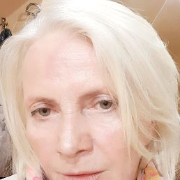 ���� �������, ���������, 62 ���� - ��������� 24 ����� 2026