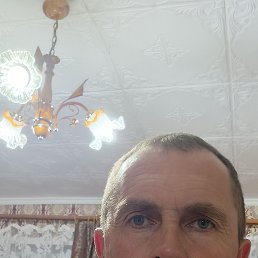 , 48, 