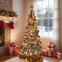 ���� ����, ������ - ��������� 6 ������ 2026 � ������ ������ ��������