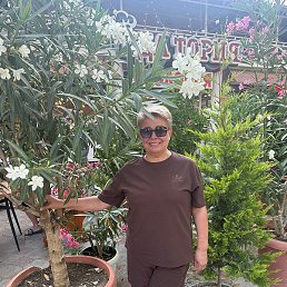 �����, ���������