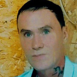 ���������, �������, 52 ����