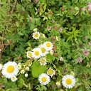 ���� ���, ������, 35 ��� - ��������� 9 ������ 2024 � ������ ������ ��������