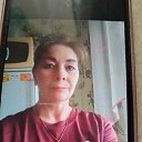 ���� ���������, ������, 48 ��� - ��������� 2 ������ 2026