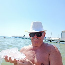 , 58, 
